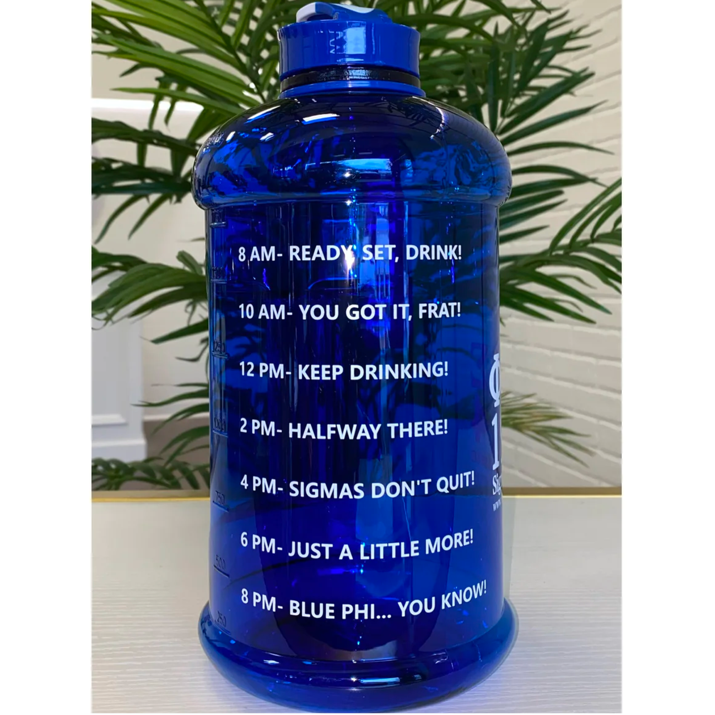 My Greek Boutique: ΦΒΣ 1914 Motivational Water Bottle