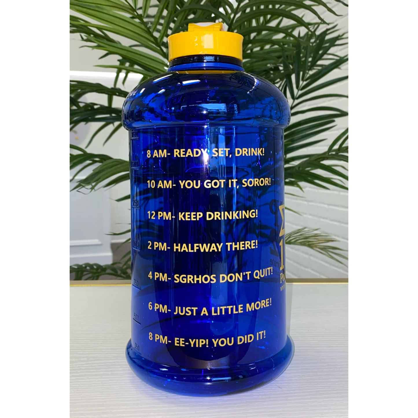 My Greek Boutique: ΣΓΡ 1922 Motivational Water Bottle