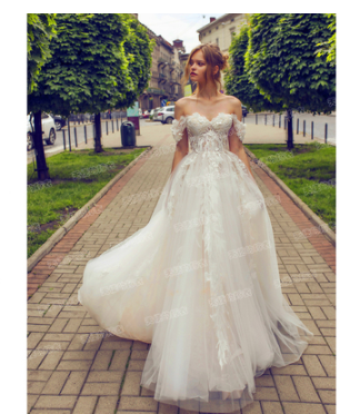 CBK: PRINCESS Tulle Off-the-Shoulder A-line Rustic Wedding Dress